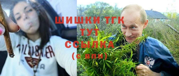 гидропоника Богданович