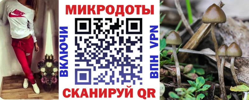 Псилоцибиновые грибы MAGIC MUSHROOMS  Острогожск 