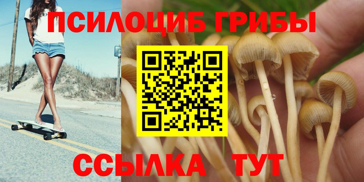 Галлюциногенные грибы MAGIC MUSHROOMS Острогожск