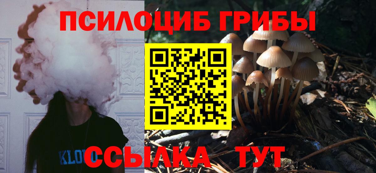 Псилоцибиновые грибы Psilocybine cubensis  Вход с VPN  Псилоцибиновые грибы Psilocybe  Острогожск 